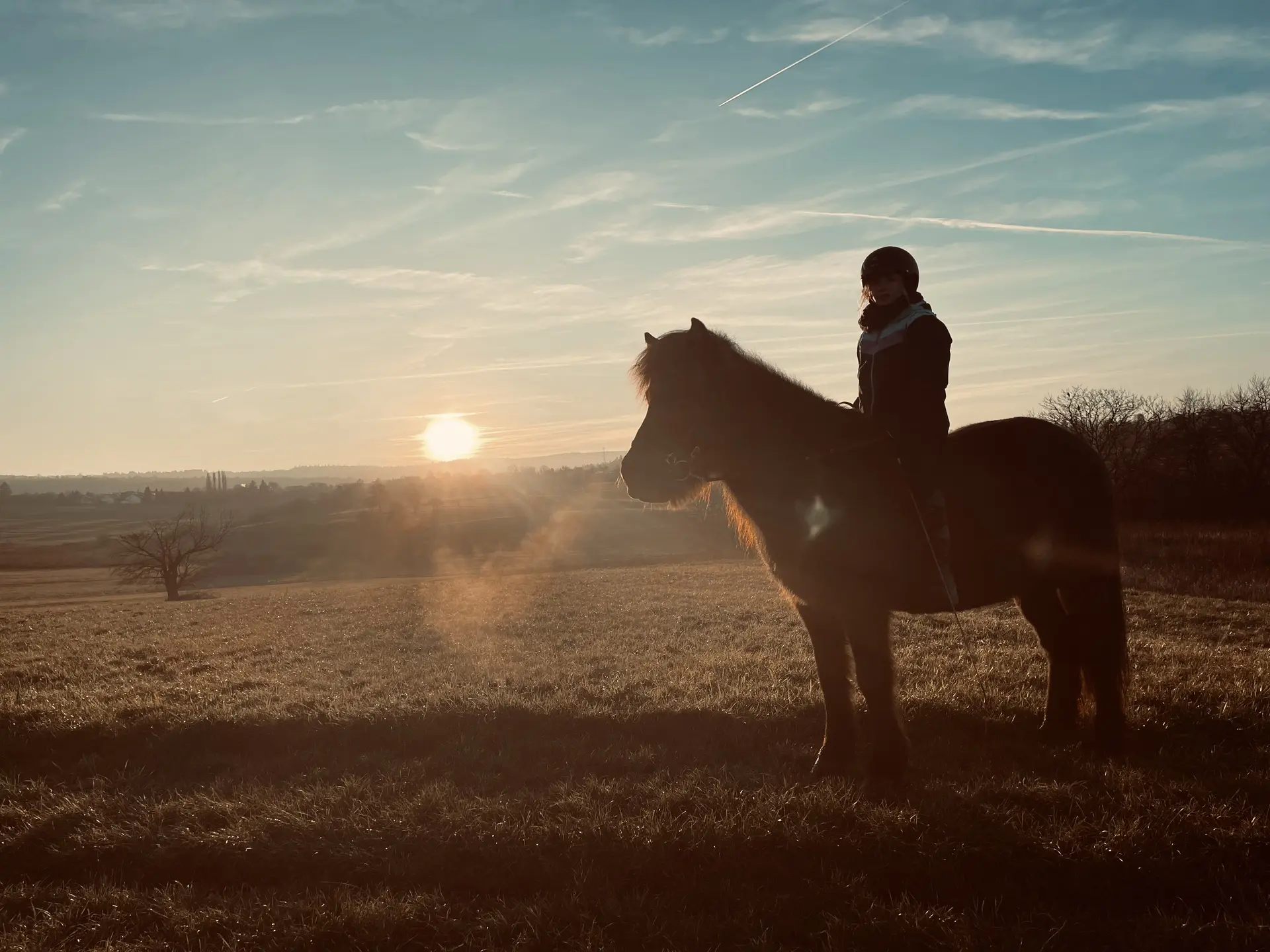 Kind reitet im Sonnenuntergang auf einem Islandpferd über eine Wiese im Nordschwarzwald