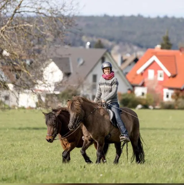 Ausritt mit zwei Islandpferden vor dörflicher Kulisse